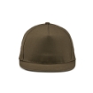 Cornell Cap Army green